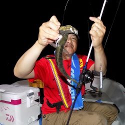 フィッシングボート空風(そらかぜ) 釣果