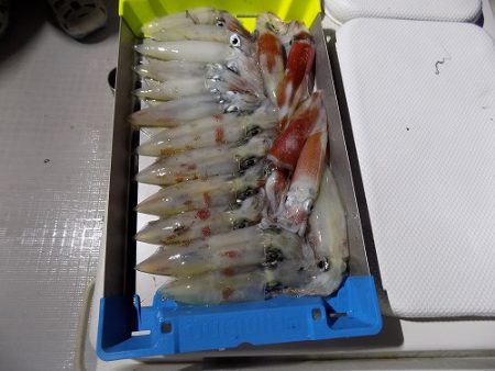 フィッシングボート空風(そらかぜ) 釣果