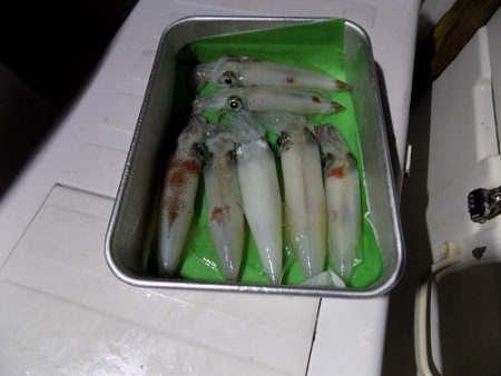 フィッシングボート空風（そらかぜ） 釣果