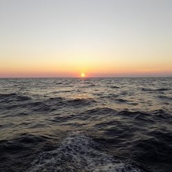 フィッシングボート空風(そらかぜ) 釣果