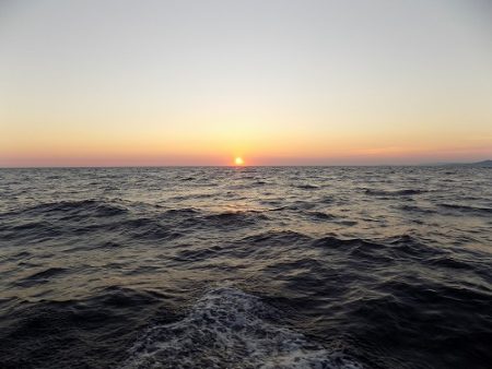 フィッシングボート空風(そらかぜ) 釣果