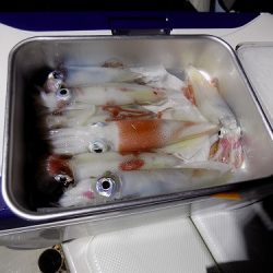 フィッシングボート空風(そらかぜ) 釣果