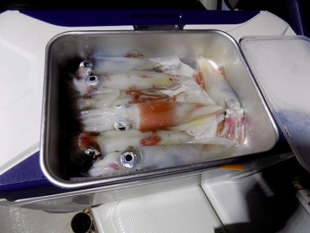 フィッシングボート空風(そらかぜ) 釣果