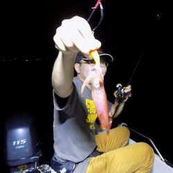 フィッシングボート空風（そらかぜ） 釣果