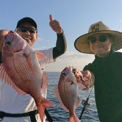 フィッシングボートACE(エース) 釣果