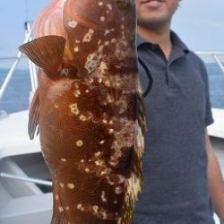 Fisherman Dreams DI 釣果