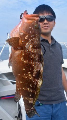 Fisherman Dreams DI 釣果