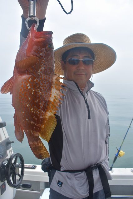 Fisherman Dreams DI 釣…