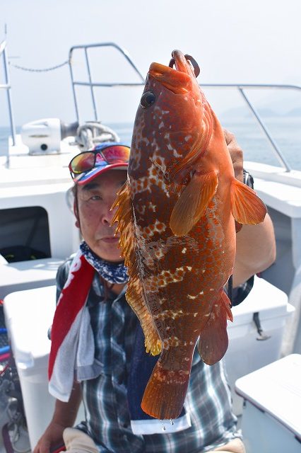 Fisherman Dreams DI 釣果