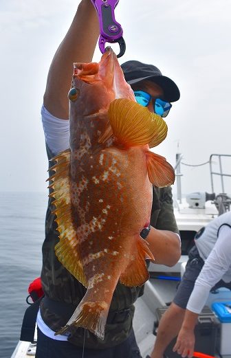 Fisherman Dreams DI 釣果