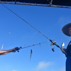 Fisherman Dreams DI 釣果