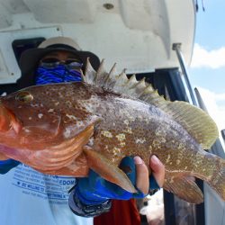 Fisherman Dreams DI 釣果