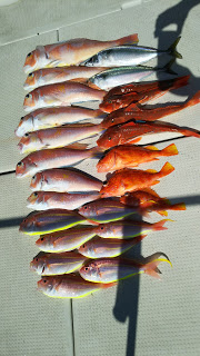 釣り舟　海竜 釣果