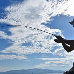 Fisherman Dreams DI 釣果