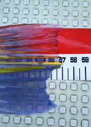 釣り舟　海竜 釣果