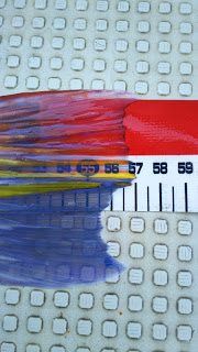 釣り舟　海竜 釣果