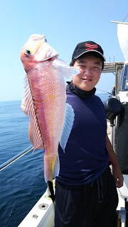 釣り舟　海竜 釣果