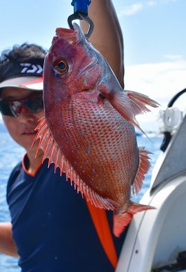 Fisherman Dreams DI 釣果