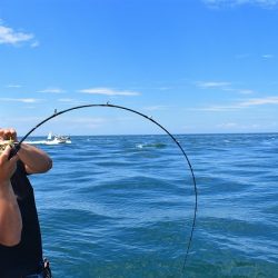 Fisherman Dreams DI 釣果