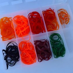 Fisherman Dreams DI 釣果