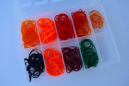 Fisherman Dreams DI 釣果