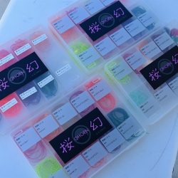 Fisherman Dreams DI 釣果