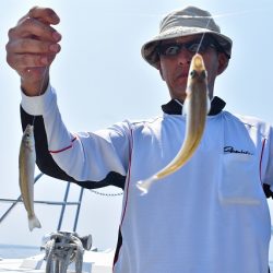 Fisherman Dreams DI 釣果