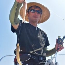 Fisherman Dreams DI 釣果