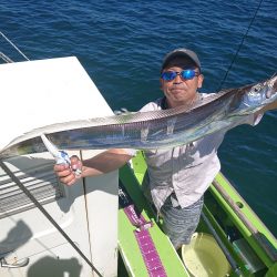 深川 吉野屋 釣果