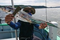 KONAYAーMARU(こなや丸) 釣果