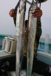 KONAYAーMARU(こなや丸) 釣果