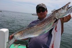 KONAYAーMARU(こなや丸) 釣果