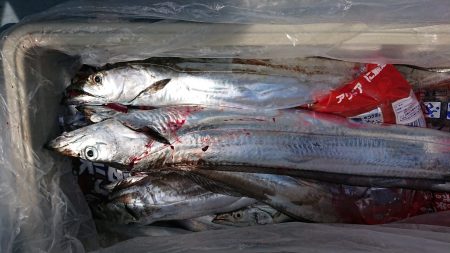 ＫＯＮＡＹＡｰＭＡＲＵ（こなや丸） 釣果