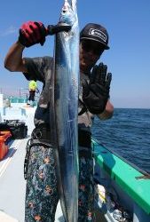 KONAYAーMARU(こなや丸) 釣果