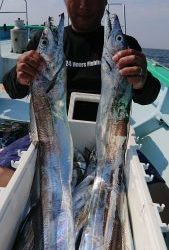 KONAYAーMARU(こなや丸) 釣果