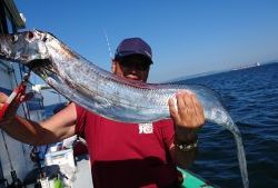 KONAYAーMARU(こなや丸) 釣果