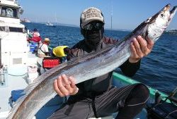 KONAYAーMARU(こなや丸) 釣果