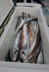 KONAYAーMARU(こなや丸) 釣果