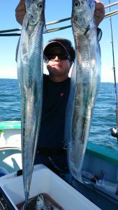 KONAYAーMARU(こなや丸) 釣果