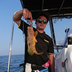 オーシャンズ　京都 釣果