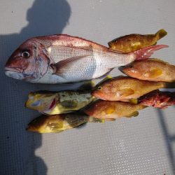 オーシャンズ　京都 釣果