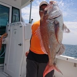 フィッシングボートACE(エース) 釣果