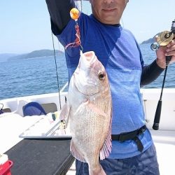 フィッシングボートACE(エース) 釣果