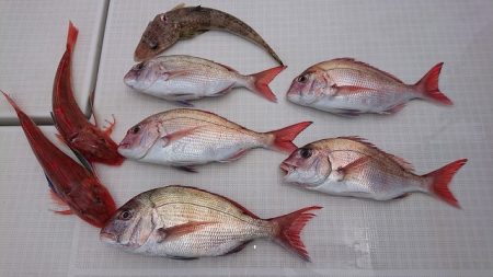 フィッシングボートACE（エース） 釣果