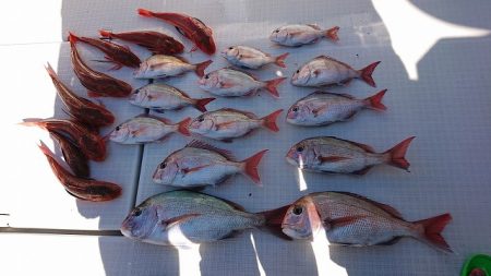 フィッシングボートACE(エース) 釣果