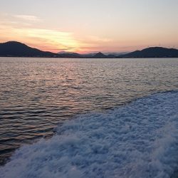 フィッシングボートACE(エース) 釣果