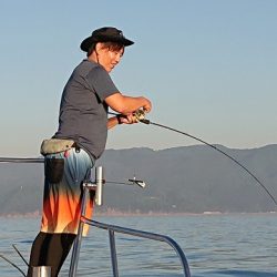 フィッシングボートACE(エース) 釣果