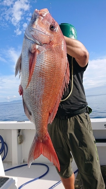 フィッシングボートACE(エース) 釣果