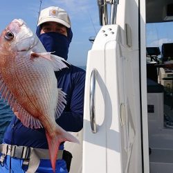 フィッシングボートACE(エース) 釣果