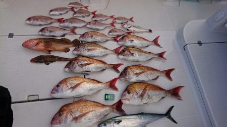 フィッシングボートACE(エース) 釣果